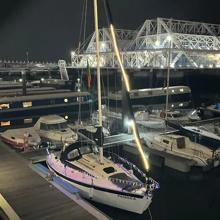 Waterlife * 리스본